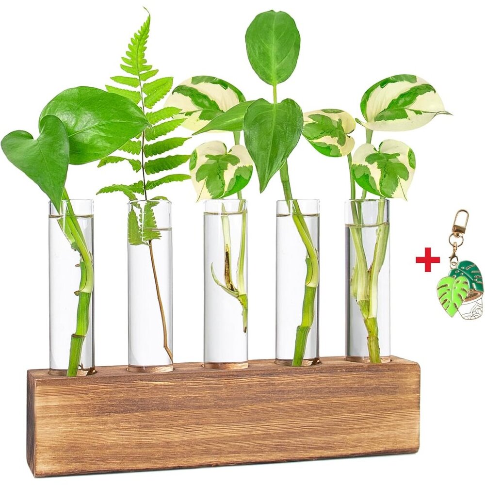 Plant Propagation Station, Plants Propagation Tubes, Gifts For Plant Lovers, Pla